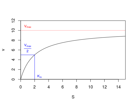Graph showing a plateau in reaction rate as enzyme gets saturated with substrate
