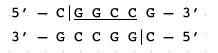 restriction site