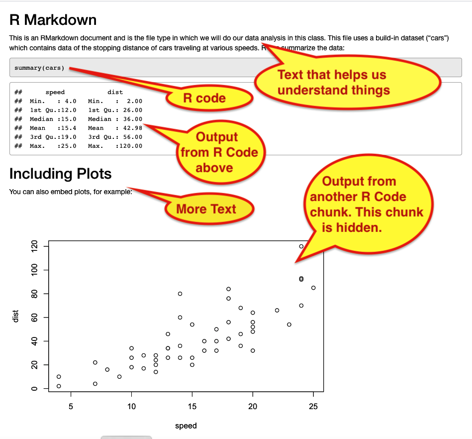 Figure 12. HTML output from knitting.